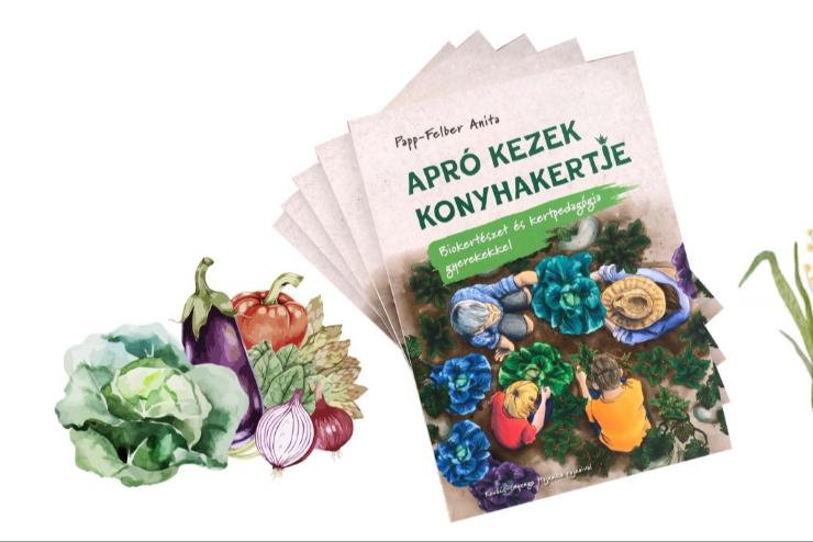Apr kezek konyhakertje - mikrozld minikertkszts s beszlgets