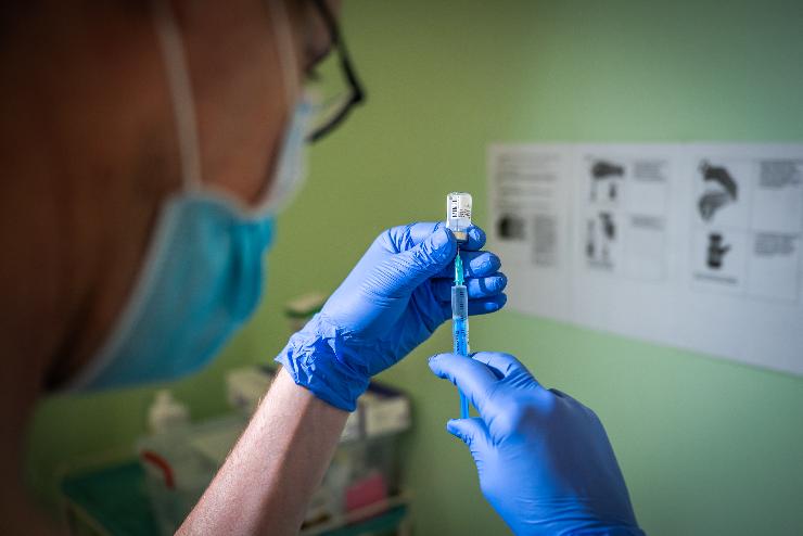 Öt év krónikája VI.: járvány és kampány Öt év krónikája VI.: járvány és kampány